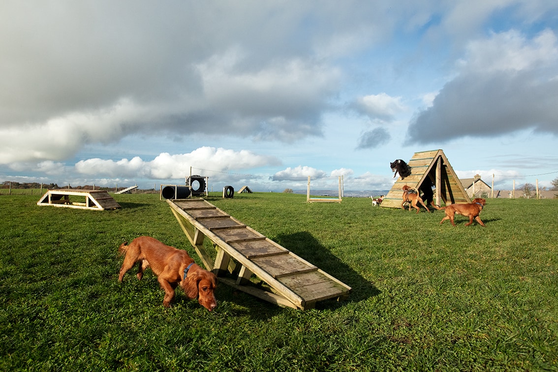 Bonnyton Dog Runs