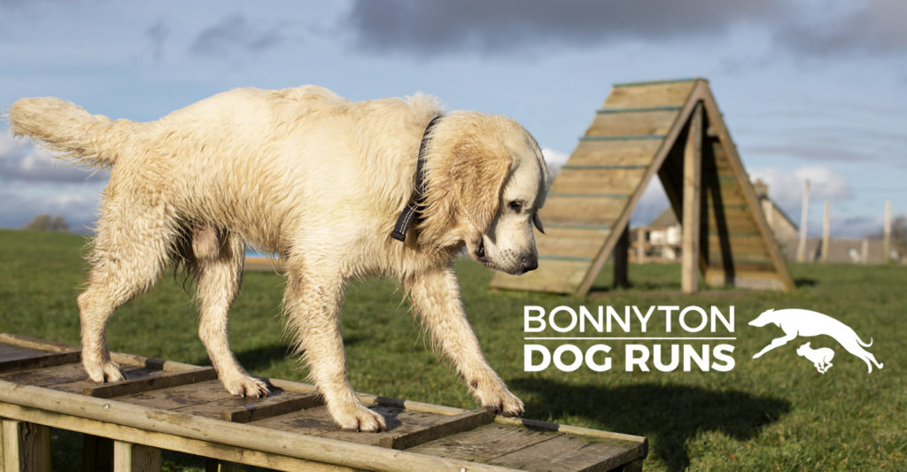 Bonnyton Dog Runs