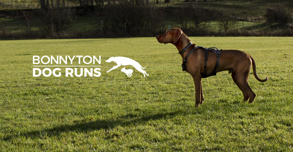 Bonnyton Dog Runs