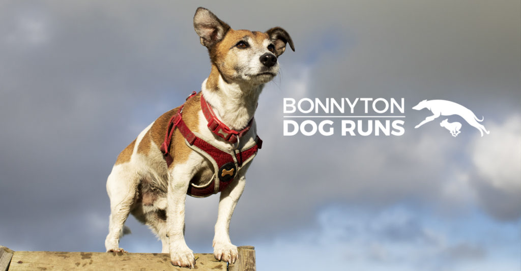 Bonnyton Dog Runs