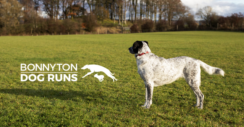 Bonnyton Dog Runs