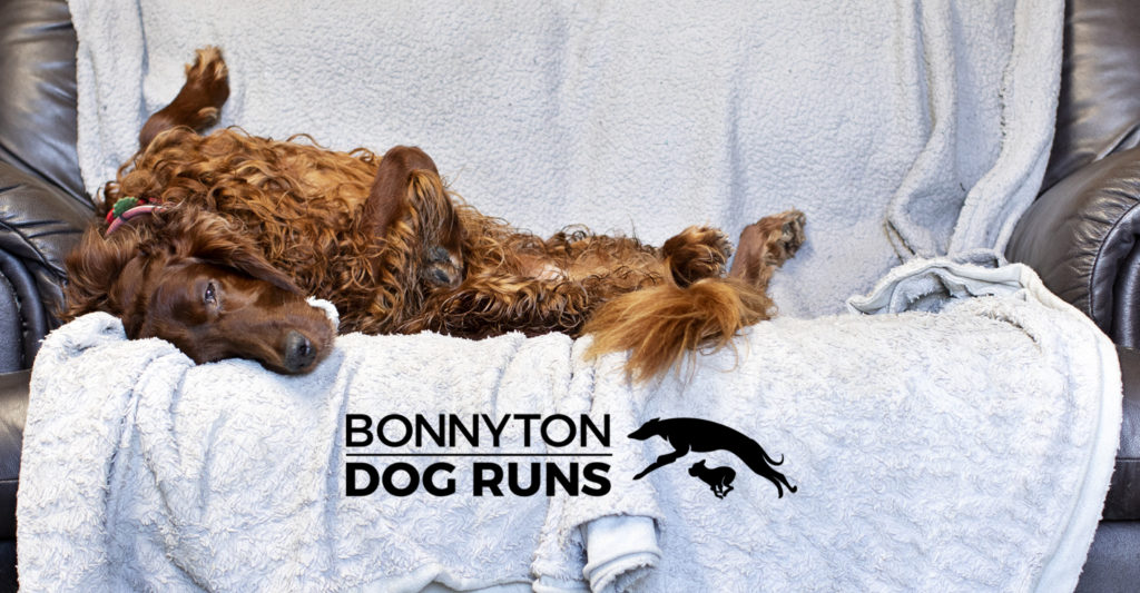 Bonnyton Dog Runs