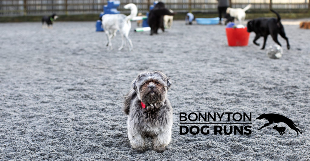 Bonnyton Dog Runs