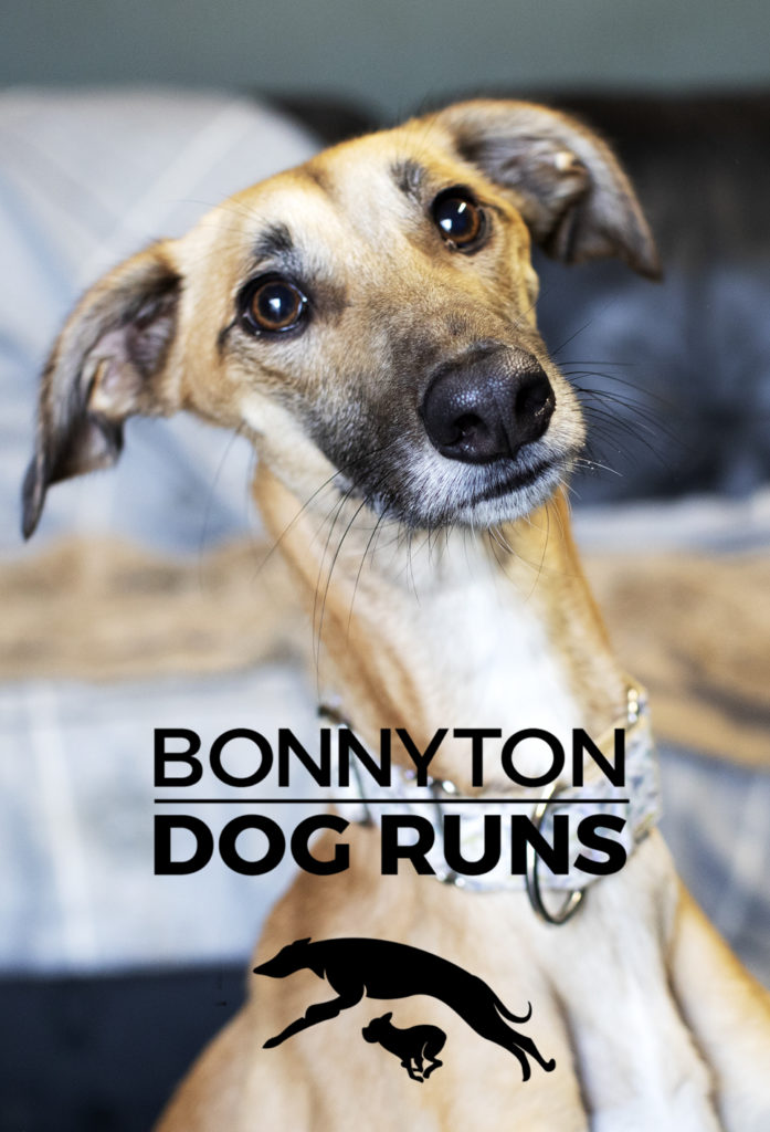 Bonnyton Dog Runs