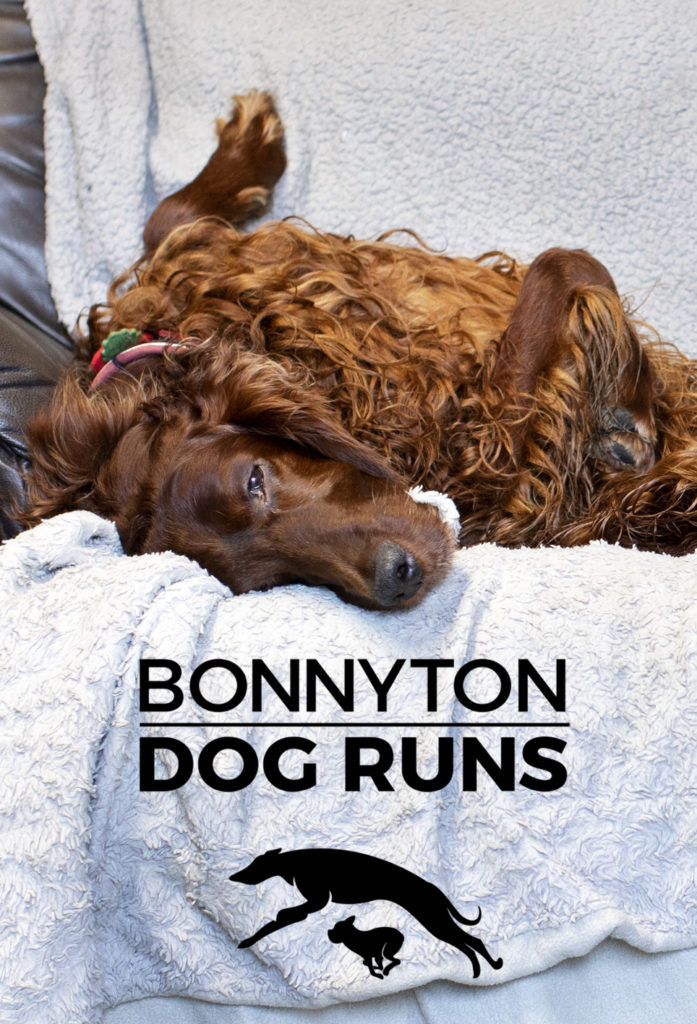 Bonnyton Dog Runs