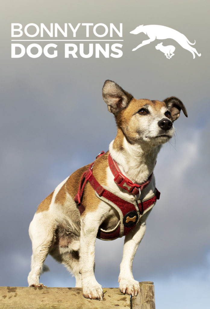 Bonnyton Dog Runs Bonnyton Dog Runs