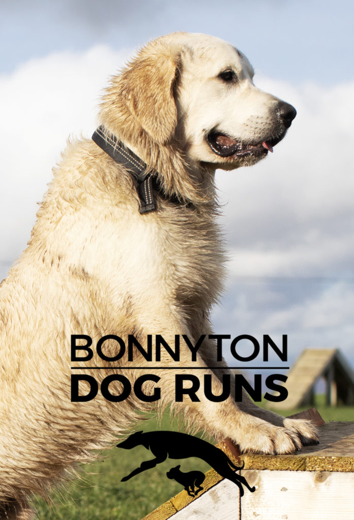 Bonnyton Dog Runs