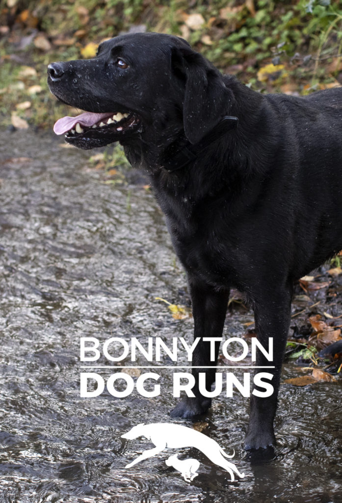 Bonnyton Dog Runs