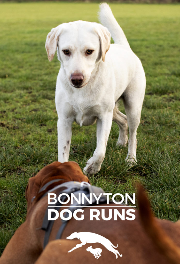 Bonnyton Dog Runs