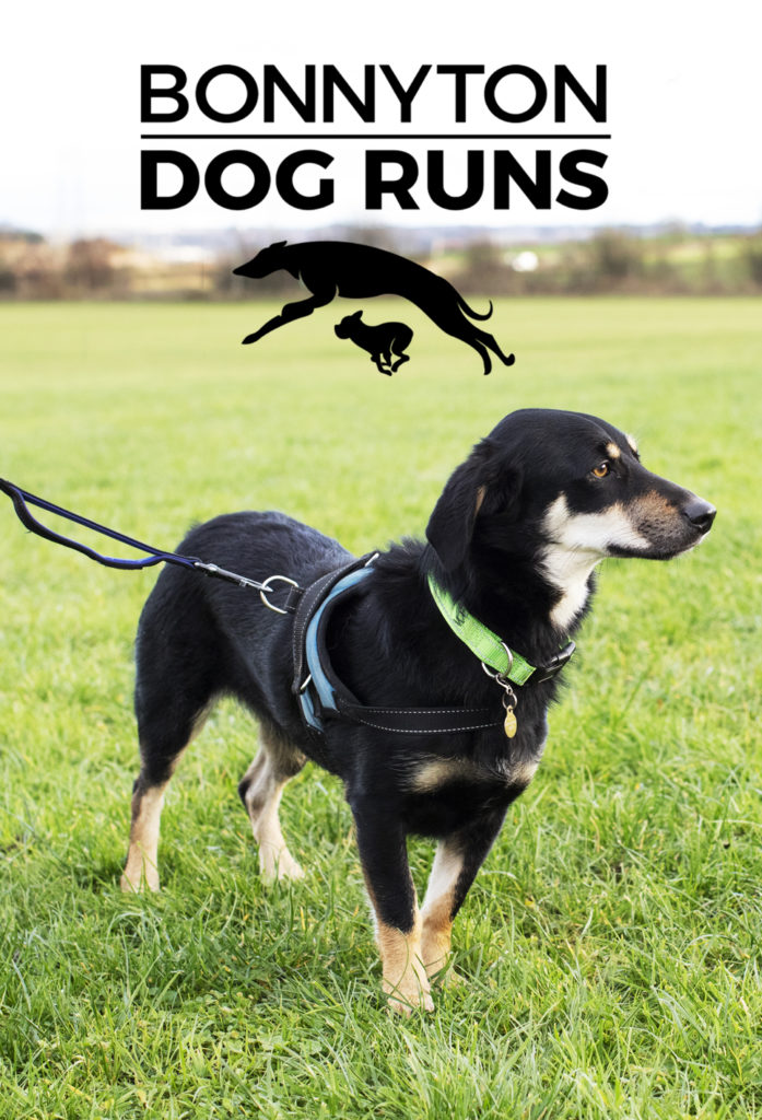 Bonnyton Dog Runs