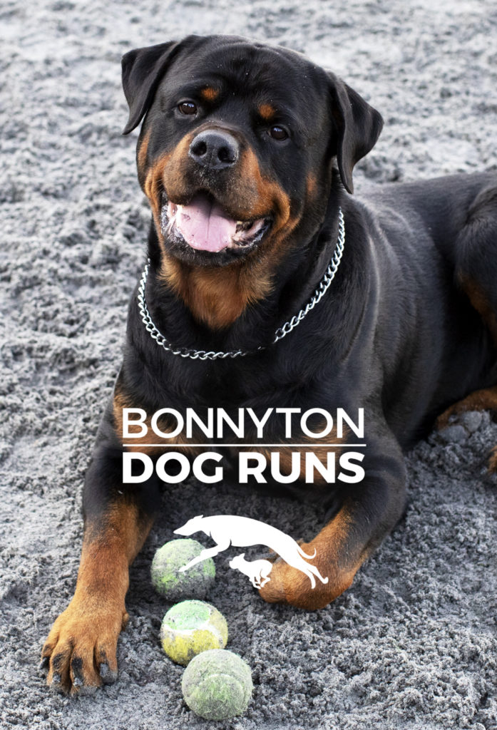 Bonnyton Dog Runs